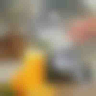 Ruční odšťavňovač ovoce | JUVOPRESS