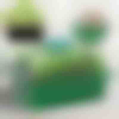 Miska na pěstování sazenic s přihrádkami | PLANTURKA