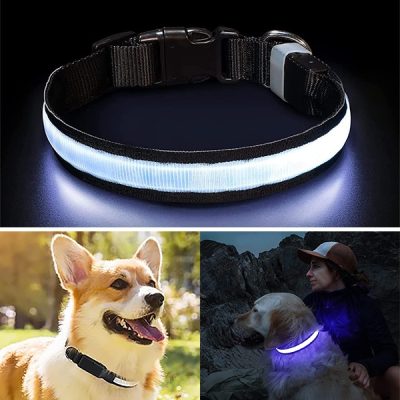 Svítící obojek pro psy i PETSHINE | NIGHT GLOWING DOG COLLAR