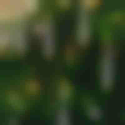 Bezplamenné blikající svíčky (6 ks) | CANDLEA